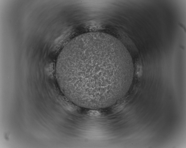 X0000103460519200809261844