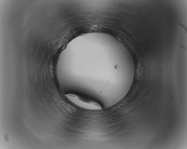 X0000103460520200809261843