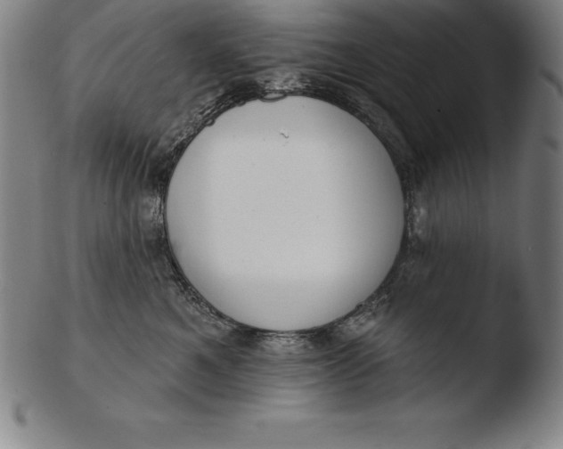 X0000103460521200809261843