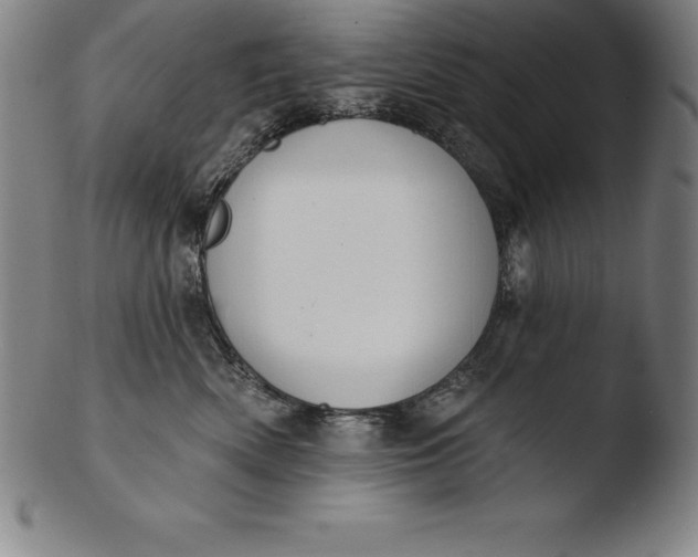 X0000103460522200809261843