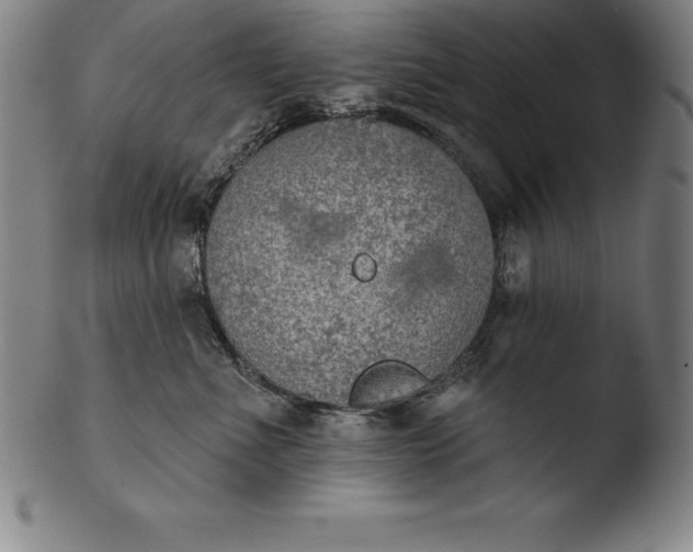 X0000103460523200809261843