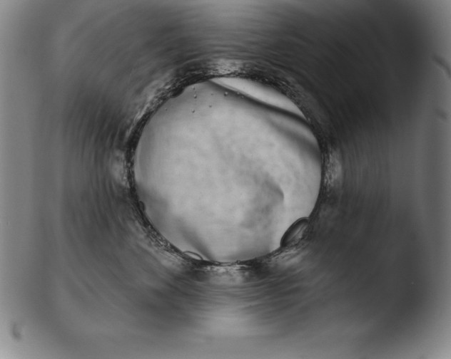 X0000103460524200809261843