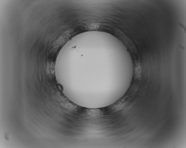 X0000103460525200809261843