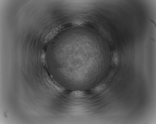 X0000103460526200809261843