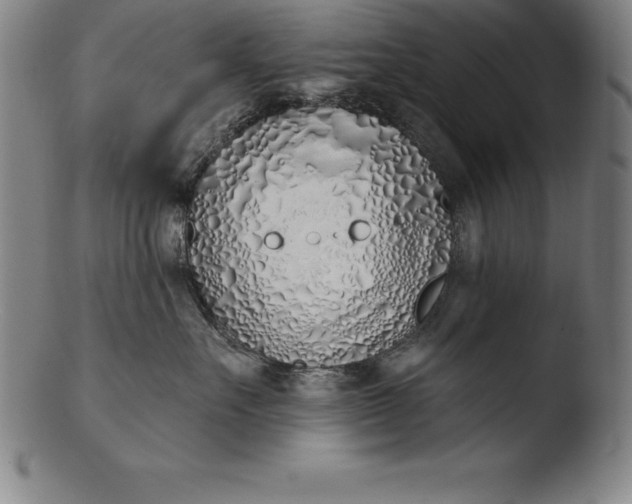 X0000103460527200809261843