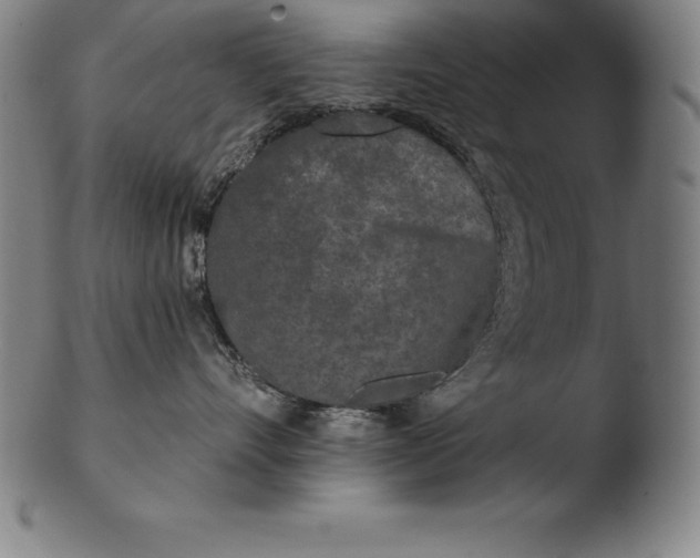 X0000103460528200809261843