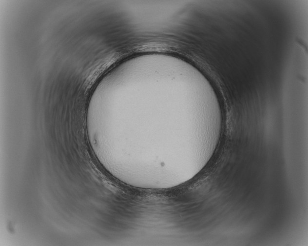 X0000103460529200809261843