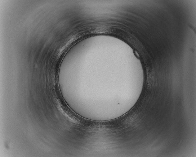 X0000103460530200809261843