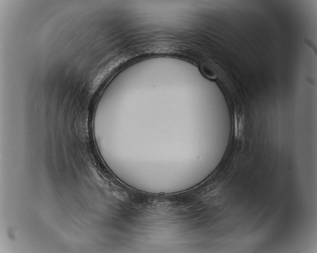 X0000103460531200809261843