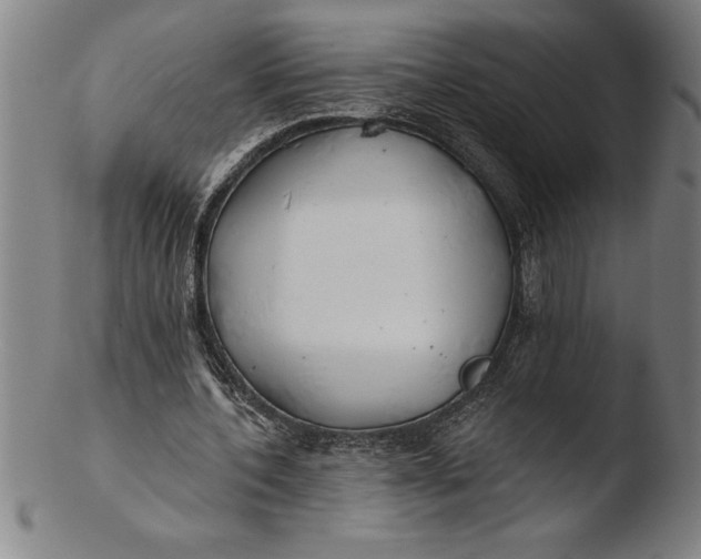 X0000103460532200809261843