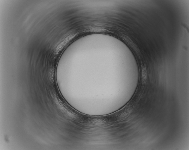 X0000103460533200809261843