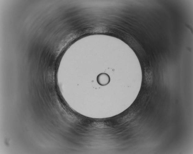 X0000103460534200809261843