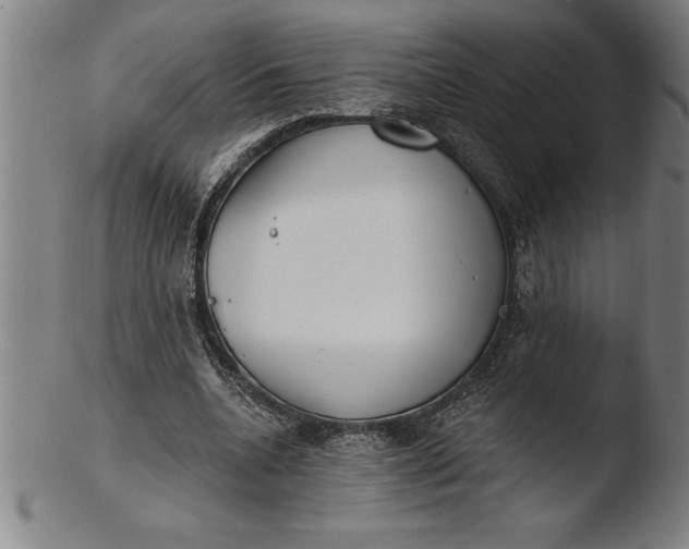 X0000103460536200809261843