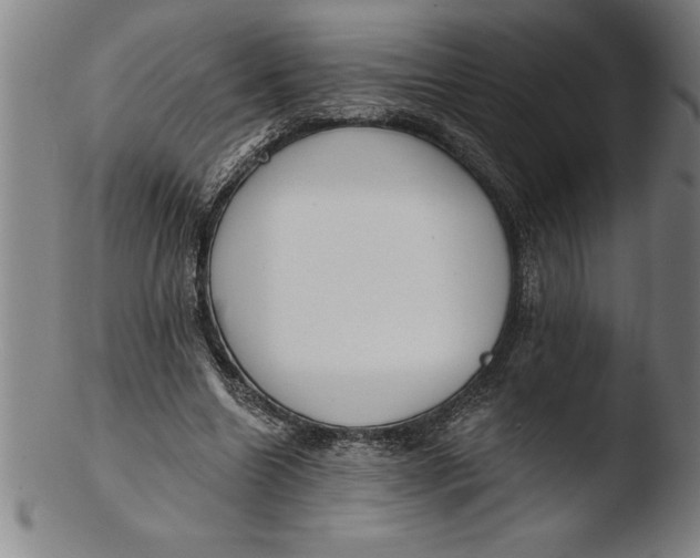 X0000103460538200809261843