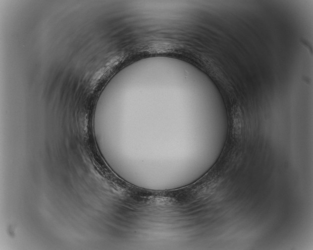 X0000103460539200809261843