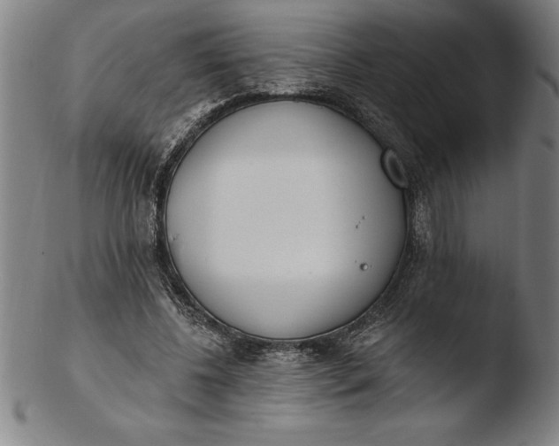 X0000103460540200809261843