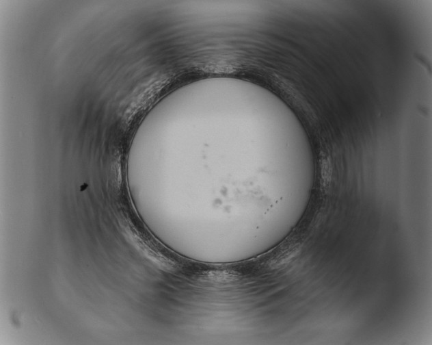 X0000103460541200809261843