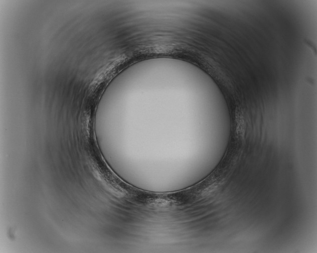 X0000103460542200809261843