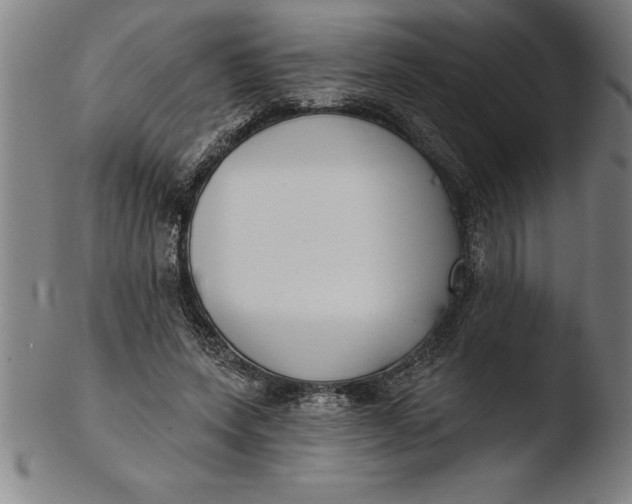 X0000103460543200809261843