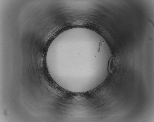 X0000103460544200809261843