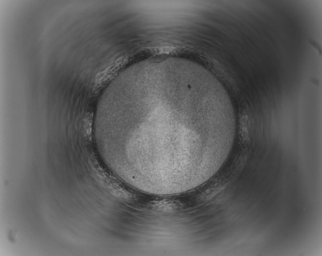 X0000103460545200809261843