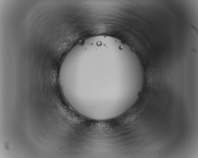 X0000103460546200809261843