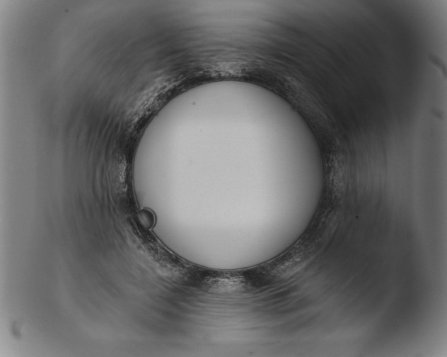 X0000103460548200809261843