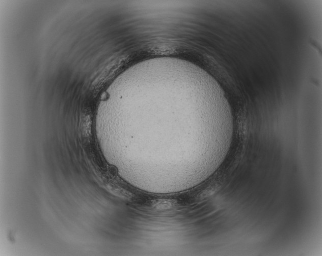 X0000103460549200809261843