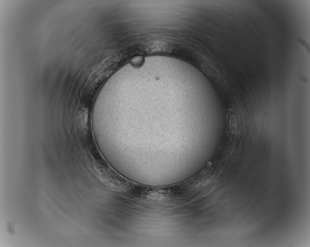 X0000103460550200809261843