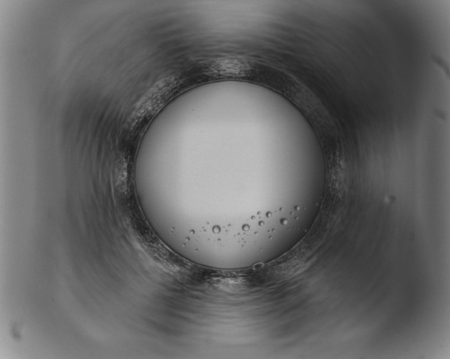 X0000103460552200809261843