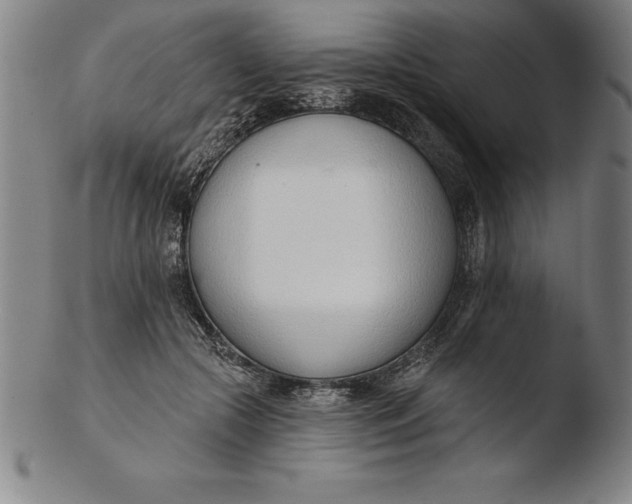 X0000103460553200809261843