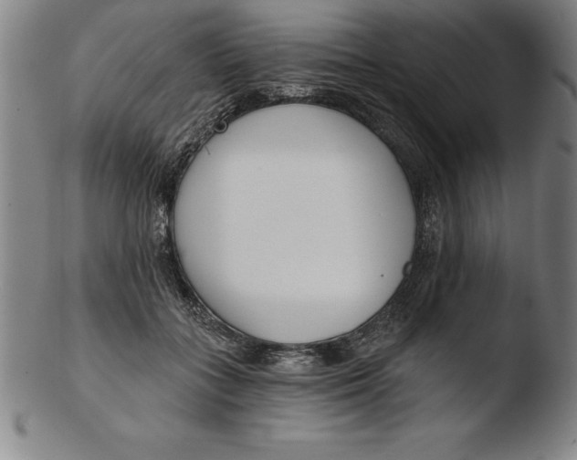 X0000103460555200809261843