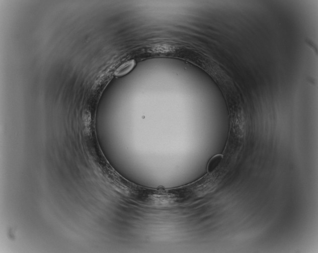 X0000103460556200809261843