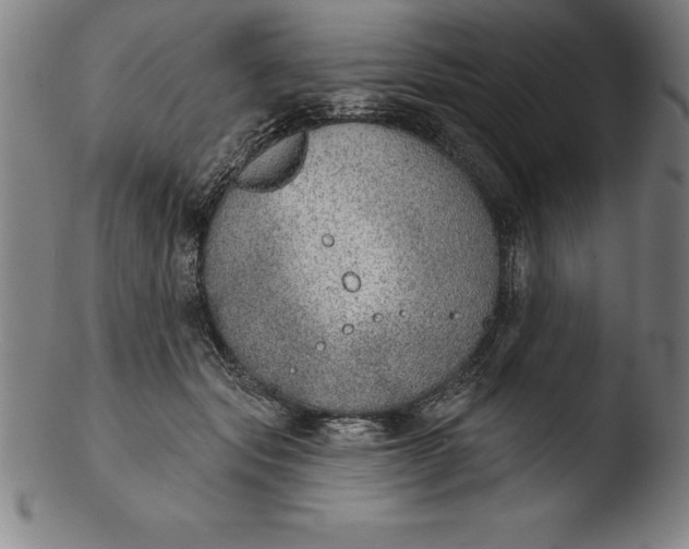 X0000103460557200809261843