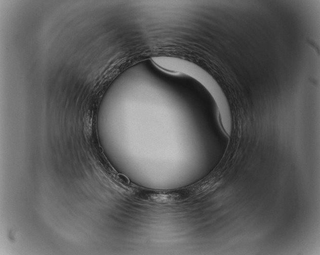 X0000103460558200809261843