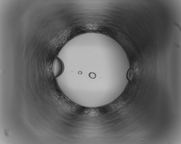 X0000103460559200809261843