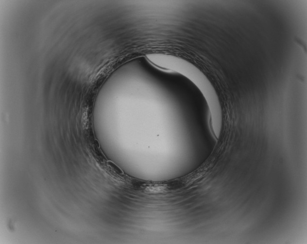 X0000103460560200809261843