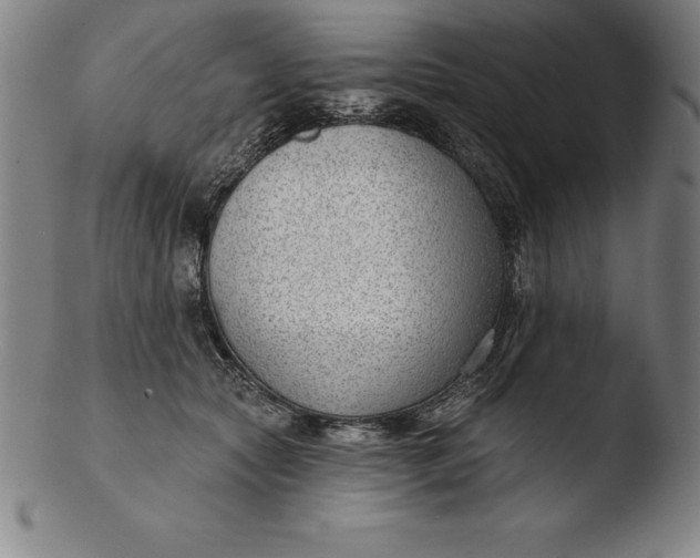 X0000103460561200809261843