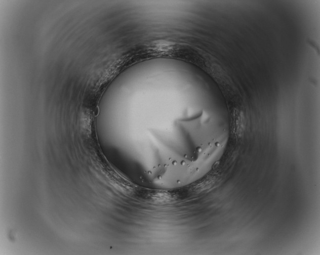 X0000103460562200809261843