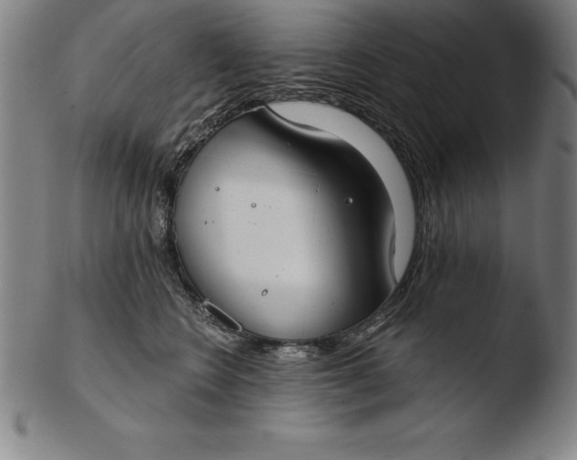 X0000103460566200809261843