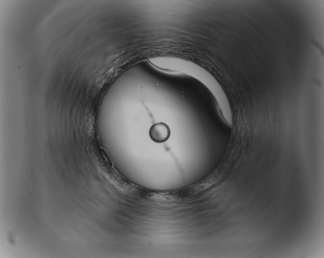 X0000103460568200809261843