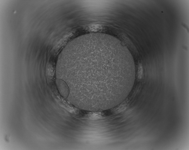 X0000103460569200809261843