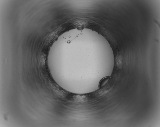 X0000103460570200809261843