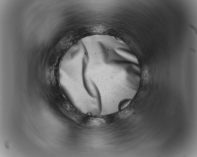 X0000103460572200809261843