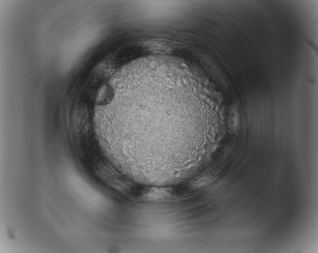 X0000103460573200809261843