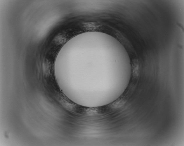 X0000103460574200809261843