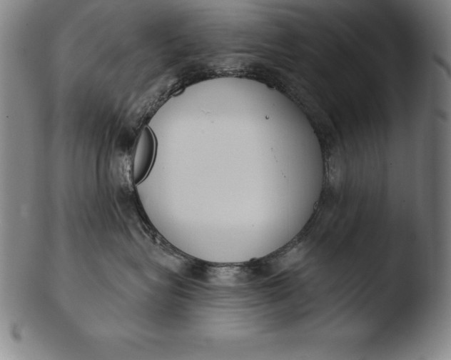 X0000103460575200809261843