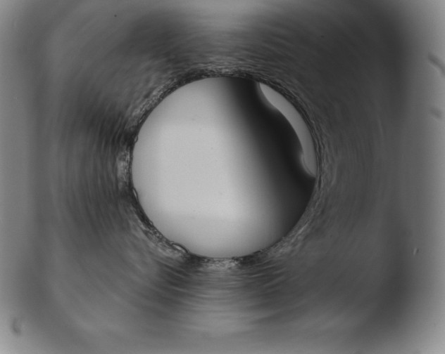 X0000103460576200809261843