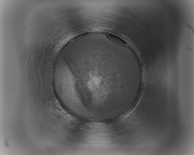 X0000103460577200809261843