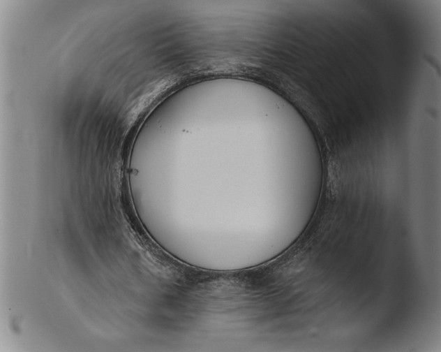 X0000103460578200809261843